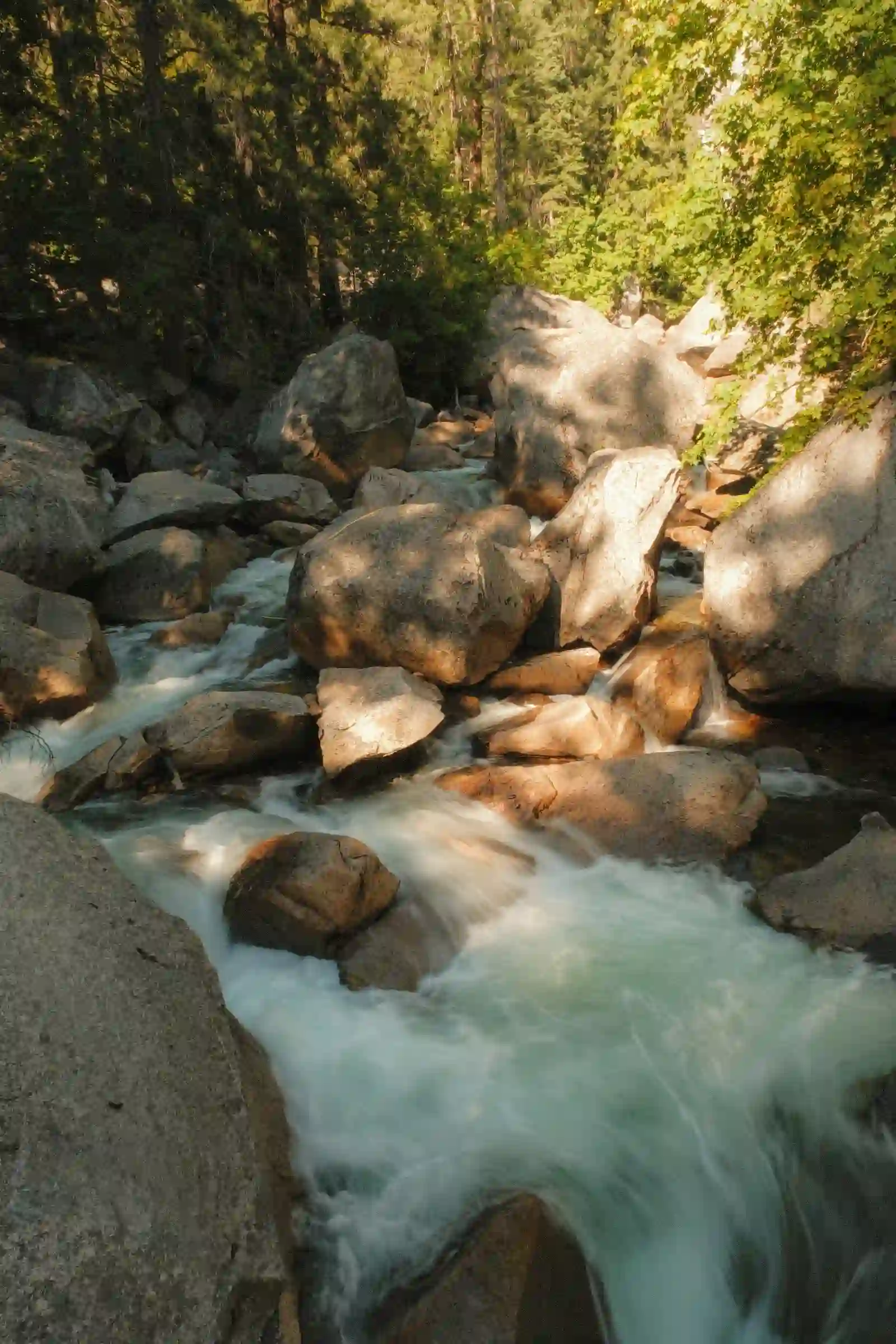 Stream rushing over sunlit boulders